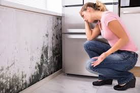 Best Forensic Mold Investigation  in USA